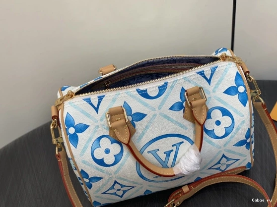 Louis Vuitton SPEEDY 25 0710